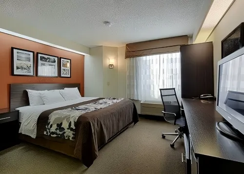 Sleep Inn DeWitt - Lansing North Hotels in Saint Johns