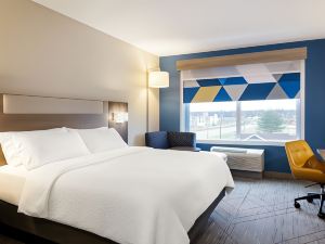 Holiday Inn Express 桃樹角 - 諾克羅斯