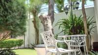 Vivid Colombo Hotels in Colombo 06