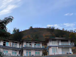 Dandelion by the Hills