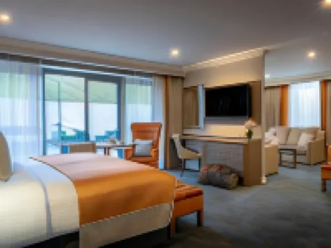 Castletroy Park Hotel Hotels in Limerick