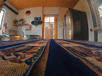 Rey Lagarto Hostel