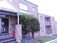 Acacia Snowy Motel