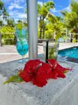 Turtle Bay Lodge - Ocean View