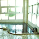 Sazanamikan Hotels in Futtsu