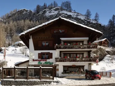 Hotel les Mélèzes Отели в г. Эволен