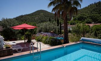 Casa Spa d'Alma