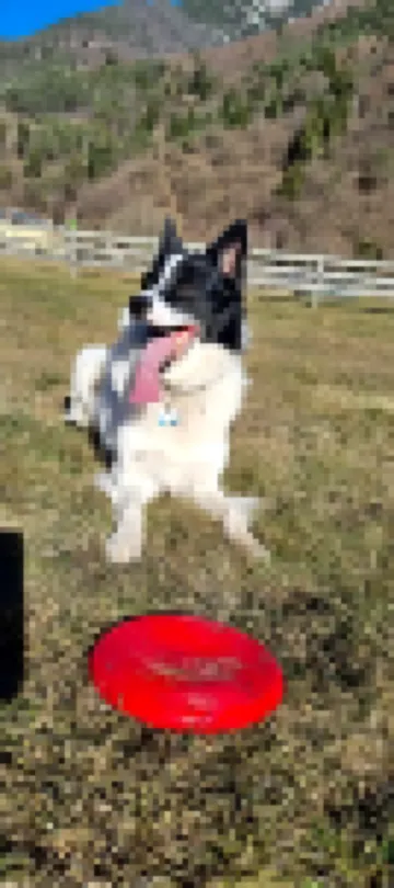 โรงแรมการ์นิ มาย เลดโร