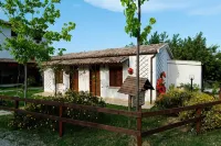 Agriturismo Il Portico Các khách sạn ở Loreto Aprutino