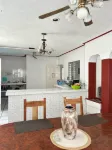 Treebu Hostel