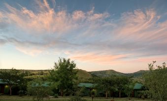 Three Tree Hill Lodge