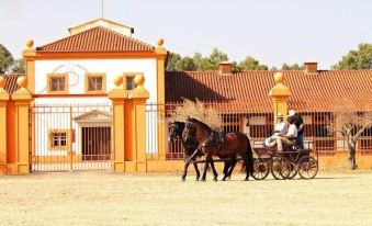 Dom Dinis Marvão