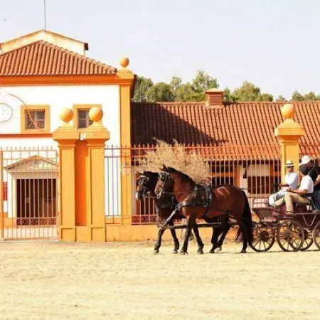 Dom Dinis Marvão