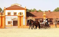 Dom Dinis Marvão Hotel di Portalegre