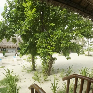 Evolution Dive and Beach Resort