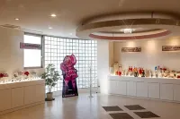 Hotel Xcell Hotels in Fukuyama