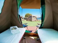 Cockatoo Island Accommodation Hotels near Drummoyne