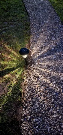 Cozy Tiny Home in Port Charlotte FL Отели рядом с достопримечательностью «Кидстар Парк»