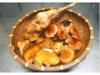 Hagurokan - breakfast