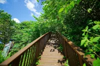 Geuligobom Dokchae Pension