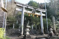 Guesthouse Izame Ann - Hostels