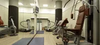 Holiday Inn NORD-ZARA by IHG - Gym