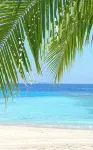 Gloria Luxury Suites - Beach