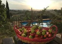 B&B Il Pettirosso di Siena - maisons de vacances