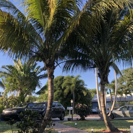 Swinton Cottage by Delray Beach w/ free parking Unit A