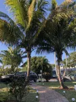 Swinton Cottage by Delray Beach w/ free parking Unit A - balcony