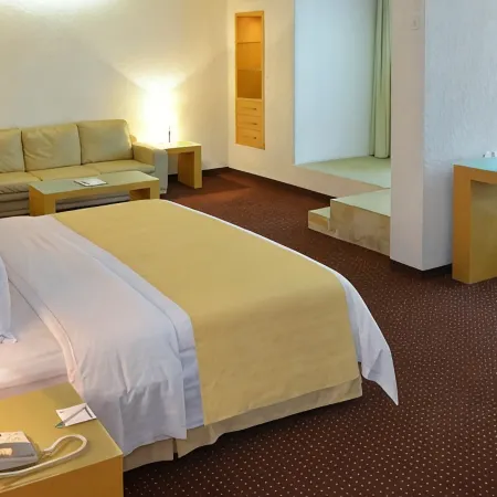 Holiday Inn MORELIA by IHG