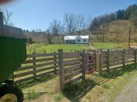 Charming 3-bedroom cabin with AC and WiFi in delightful Rogersville