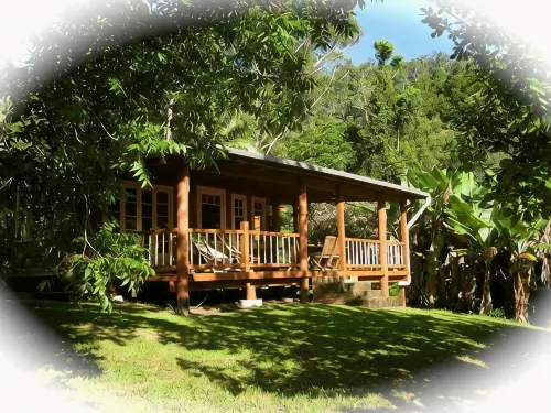 Black Sheep Farm Guest House - 3 ดาว