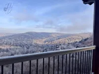 Luxury Penthouse near Silver Dollar City - Wifi