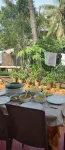 Kalappura Homestay - breakfast