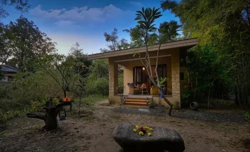 Pench Jungle Camp - parking