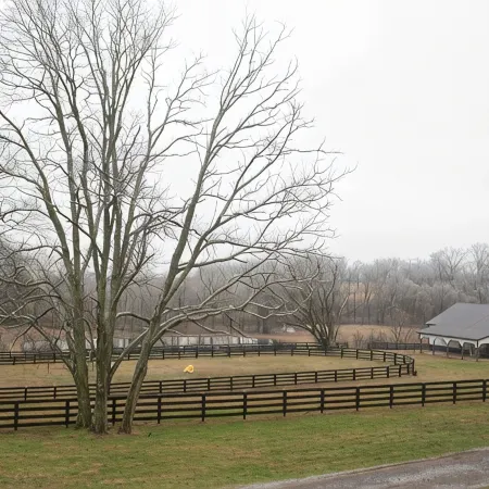 Beautiful, Relaxing Farm Retreat with amazing grounds