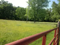 Secluded Farm near Bennett Springs State Park, 66 Robin Ln Tunas, MO 65764