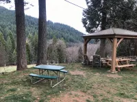 Dunsmuir Lodge - Homestays