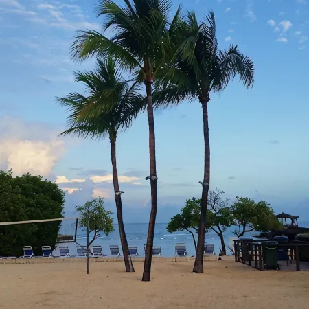Ocean Front Private Beach, Pool/Hot Tub, Pool Bar, Marina with Cafe
