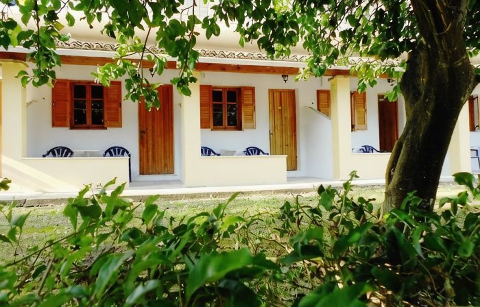 Anemona Studios