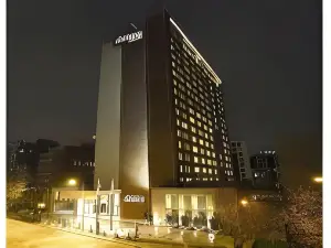 聖地亞哥埃爾博斯克鉑爾曼酒店