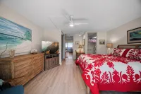 Full Ocean View, Great For Whale Watching - Wifi