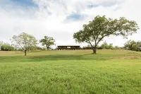 Hill Country Getaway - Cozy Stonewall Retreat Near Wineries & Fredericksburg