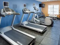 Hampton Inn & Suites Mansfield Hotels in Mansfield