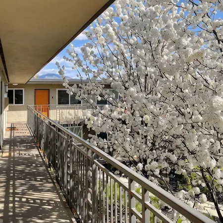 Patio, Fire Pit, and Downtown Walnut Creek