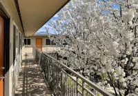 Patio, Fire Pit, and Downtown Walnut Creek - Wifi