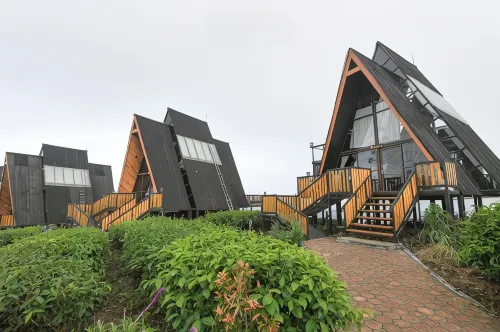 Nimo Tea Resort - bar