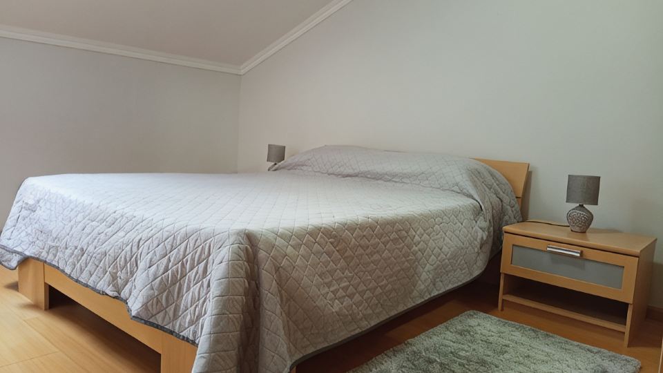 Guest Apartment in Santana