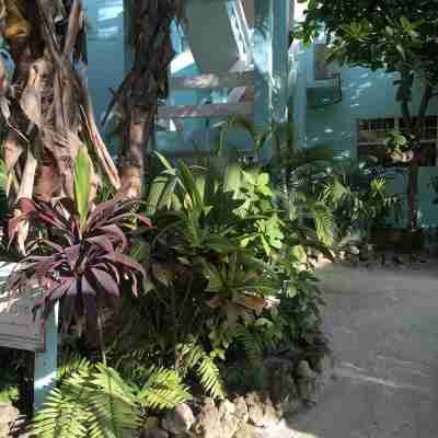 175/Night! Perfect Beach Front Condo with Gorgeous Views!  Ground Floor Access! Hotel Exterior